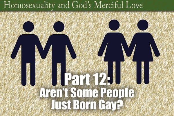 Part 12 Aren T Some People Just Born Gay The Divine Mercy Message From The Marians Of The
