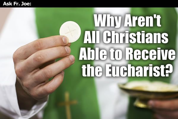 Why Aren't All Christians Able to Receive the Eucharist? | Marians of ...
